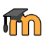 Moodle Facultativo